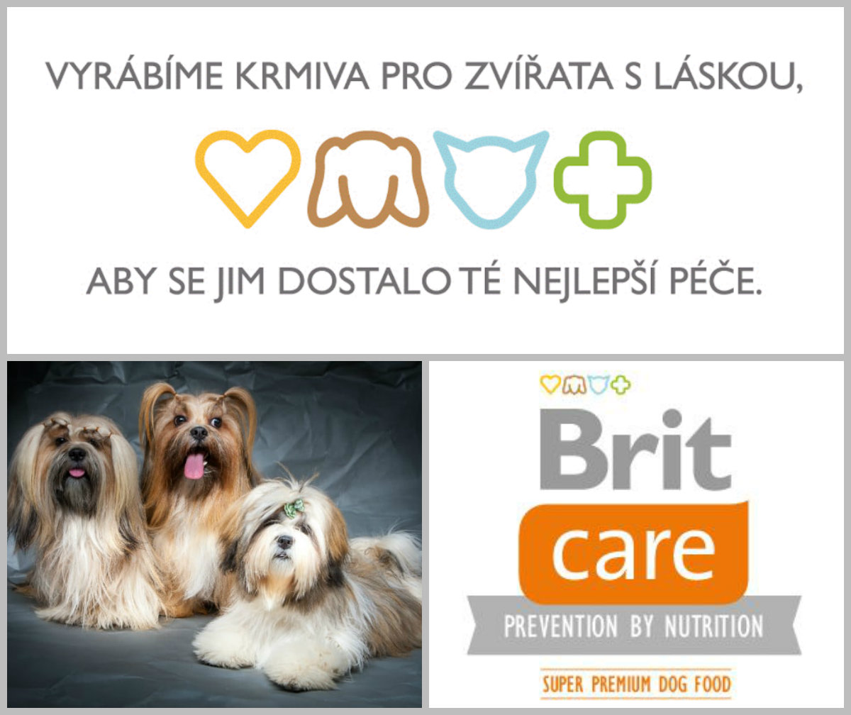 BRIT CARE Adult Small breed Lamb 3kg