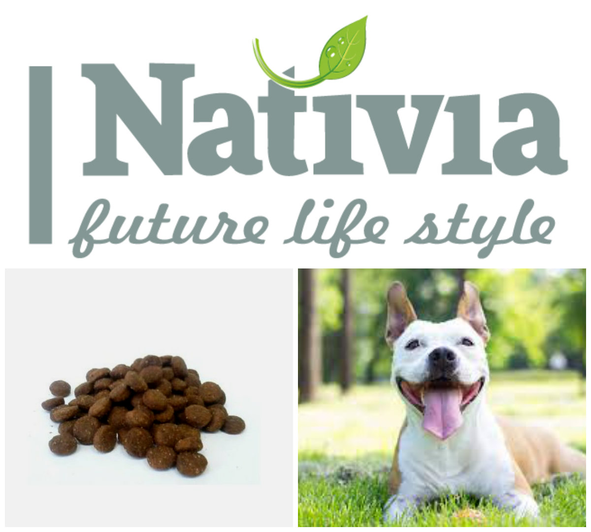 Nativia Adult 15kg