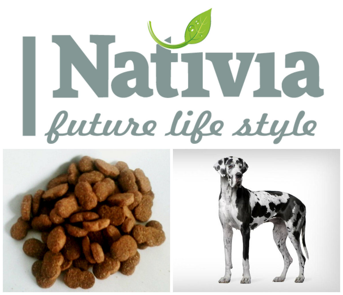 Nativia Adult Maxi 15kg