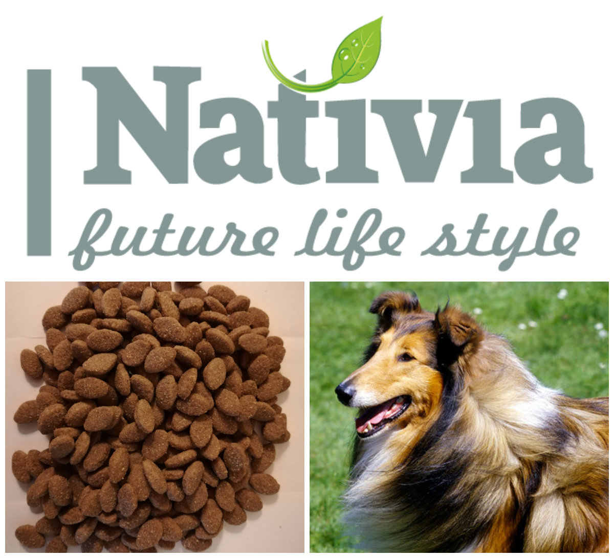 Nativia Adult Lamb&Rice 15kg