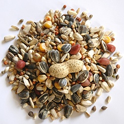 Krmivo velký papoušek 800g