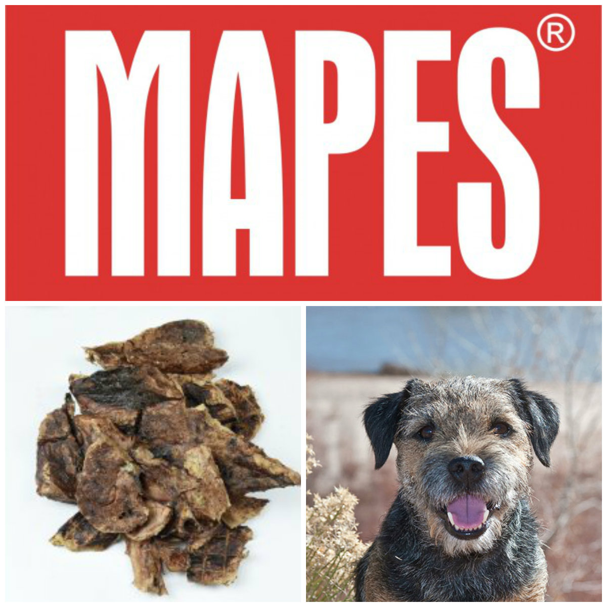 Mapes Plíce 100g