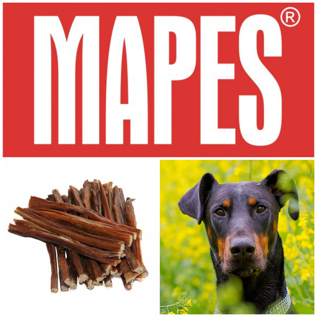 Mapes Střívka zlomky 100g