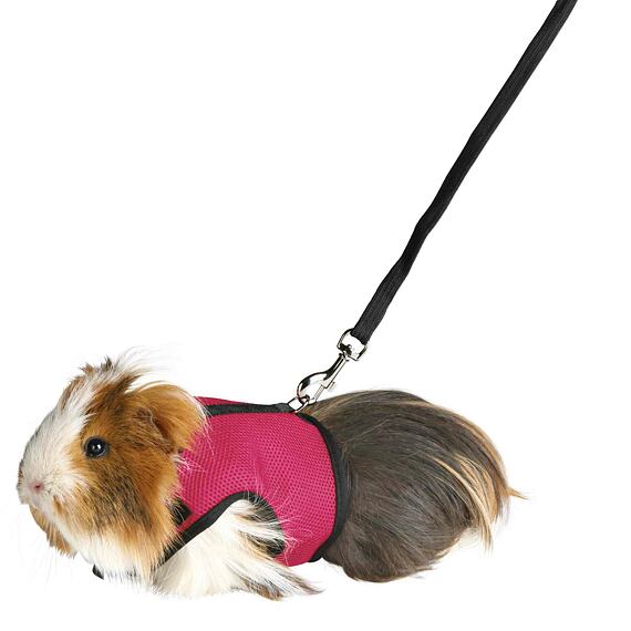 Postroj vesta s vodítkem pro morče 18-25cm/1,2m