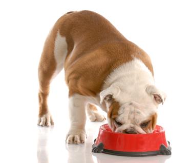 Plaisir dog vanička hovězí 300g