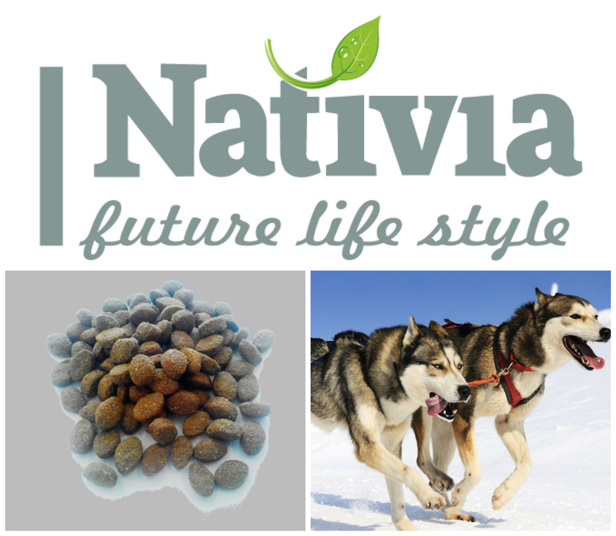 Nativia Active Beef&Rice 15kg