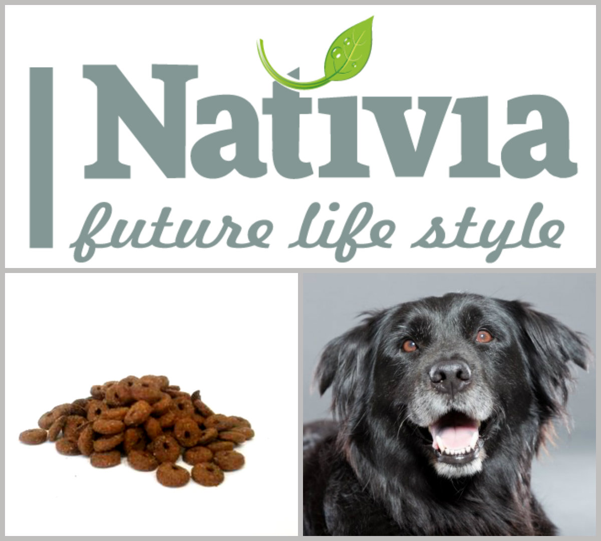 Nativia Senior&Light 15kg