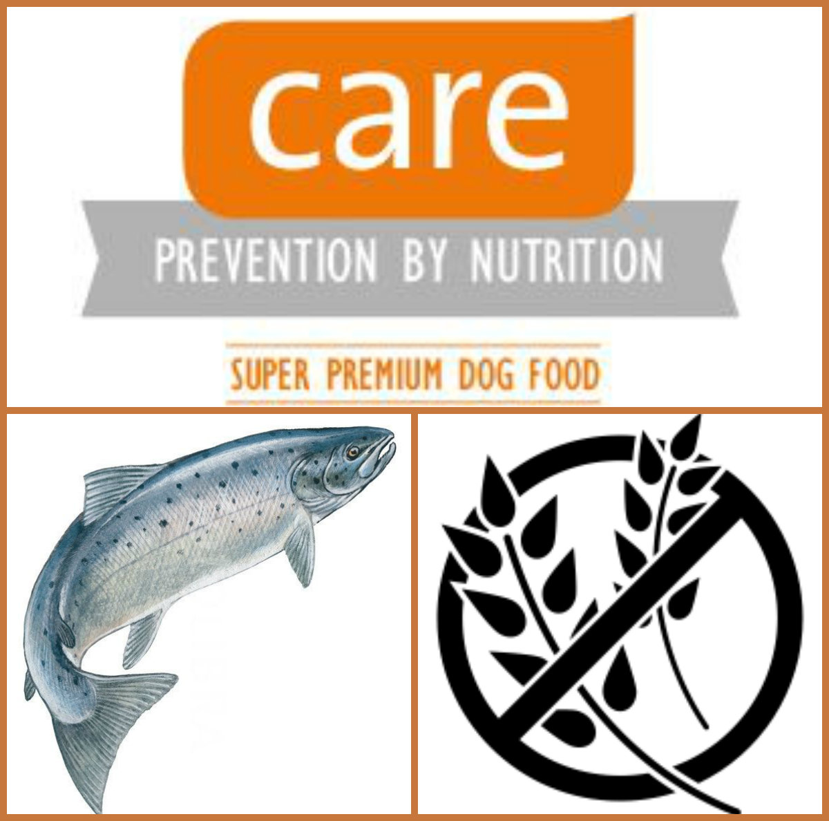 BRIT CARE Adult Salmon 1kg