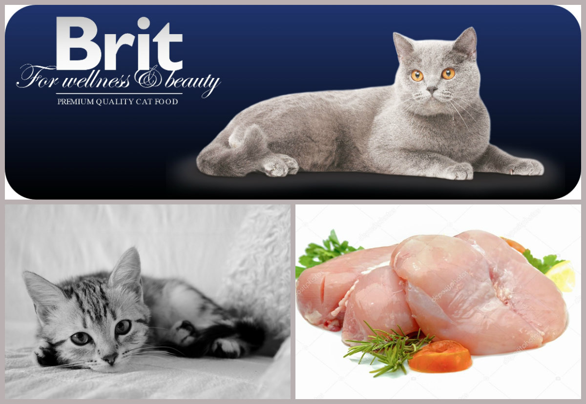 Brit Premium Cat Sterilised Chicken 1,5kg