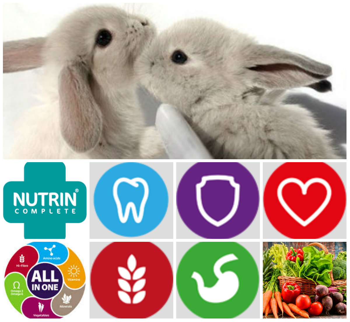 NUTRIN Complete - Králík Junior 400g