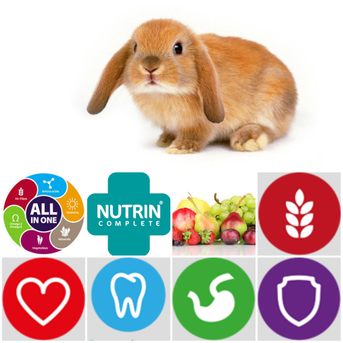 NUTRIN Complete Fruit - Králík 400g