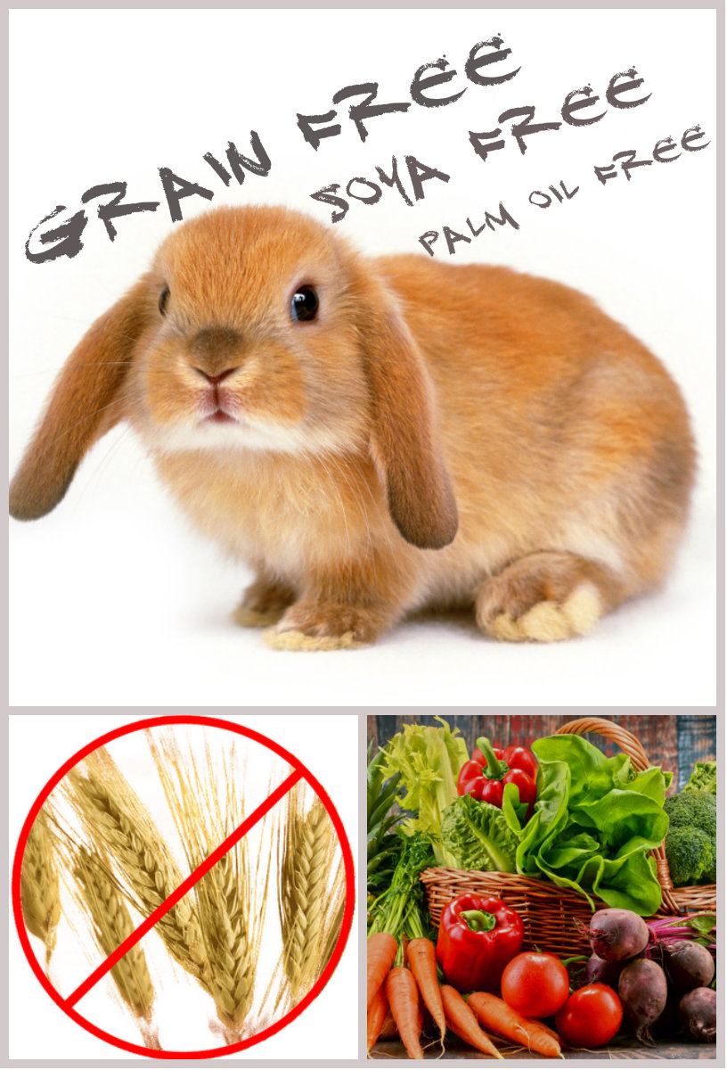 NUTRIN Complete Králík Vegetable - GRAIN FREE 400g