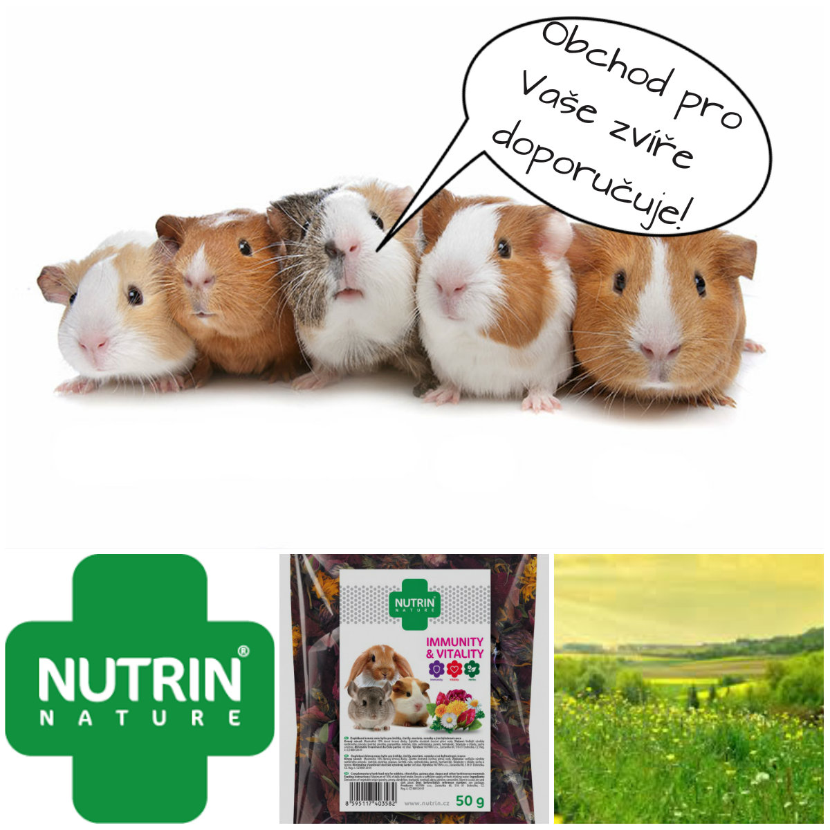 NUTRIN Nature Immunity & Vitality 50g