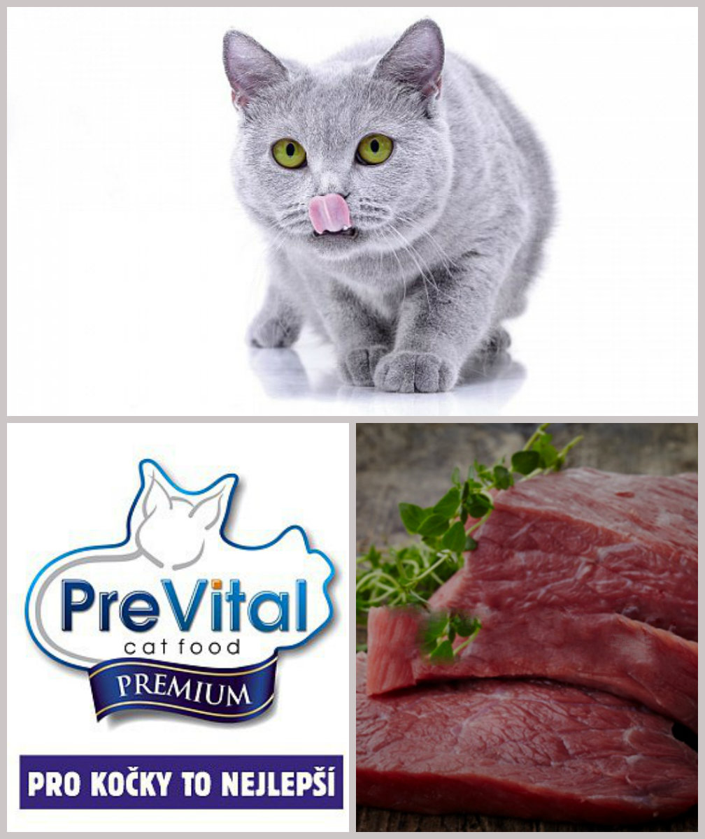 PreVital Cat Hovězí se zeleninou 1,4g