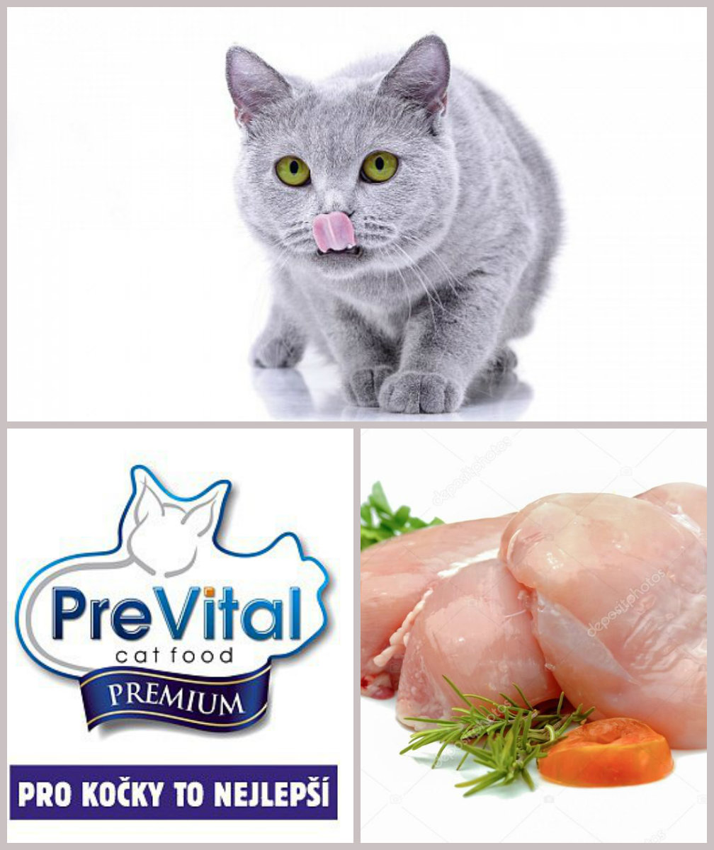 PreVital Cat Kuřecí se zeleninou 1,4kg