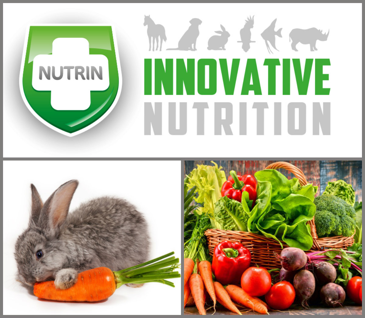 NUTRIN Complete Vegetable - Králík 1500g