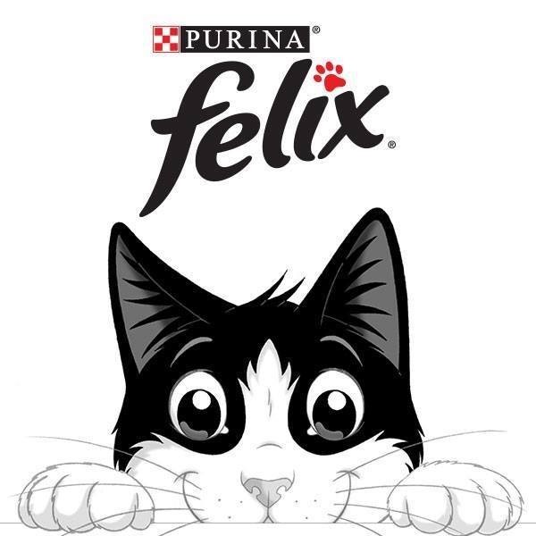 Felix Fantastic kapsička hovězí v želé 85g