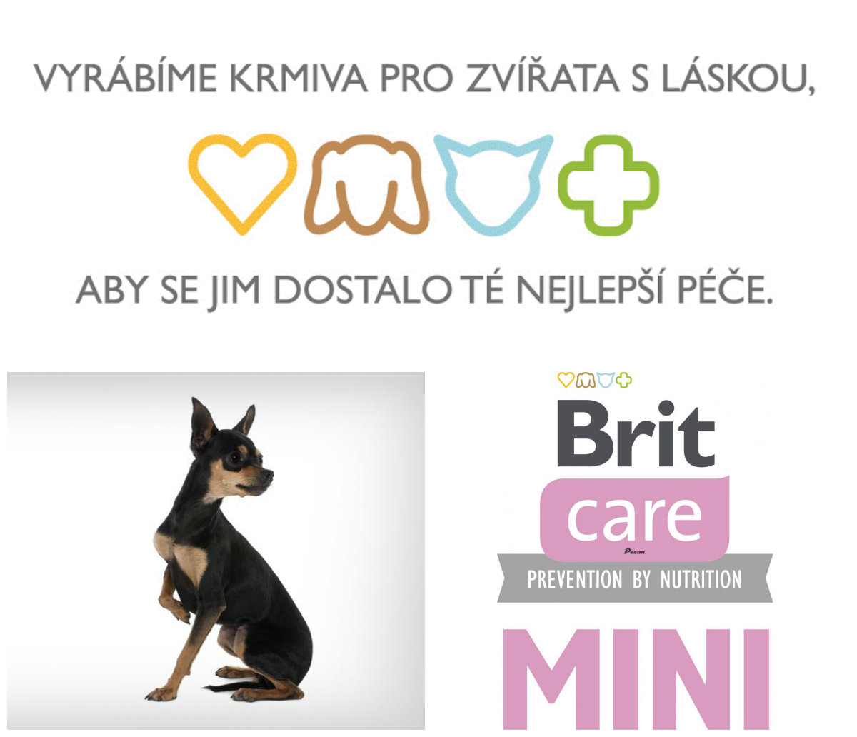 Brit Care MINI Dog Grain Free Puppy Lamb 400g
