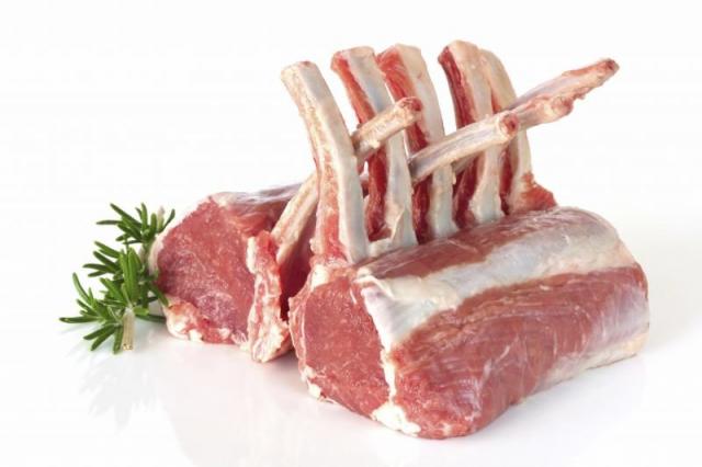 BRIT CARE Junior Large breed Lamb 12kg