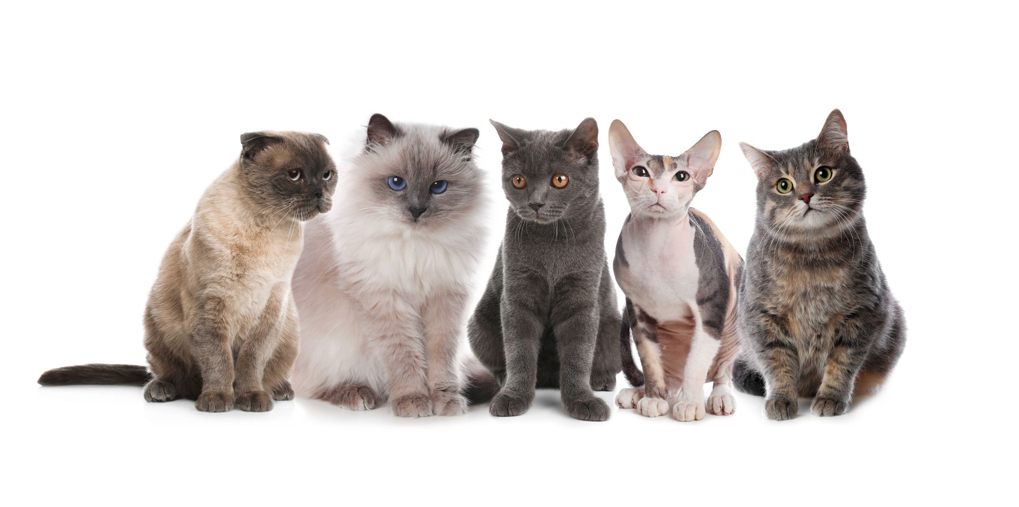 Magnum Silica gel cat litter levandule 3.8l