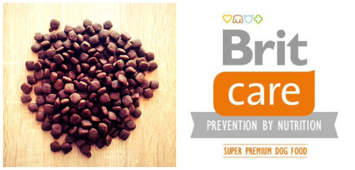 BRIT CARE Adult Salmon 1kg