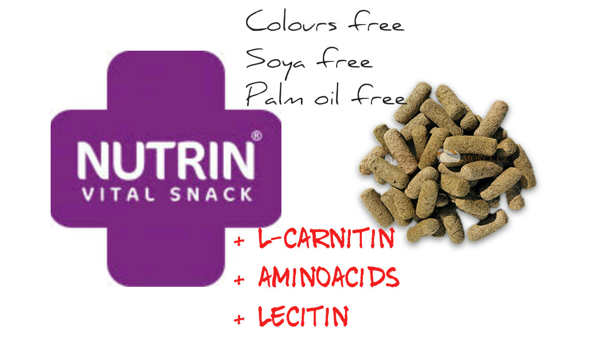 NUTRIN Vital Snack Fitness 100g