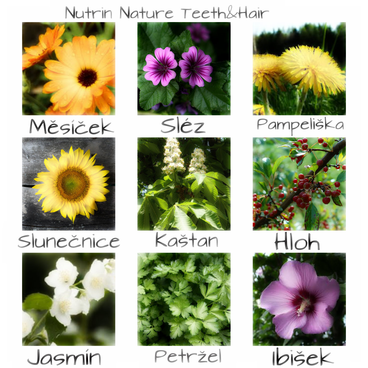 NUTRIN Nature Teeth & Hair 50g