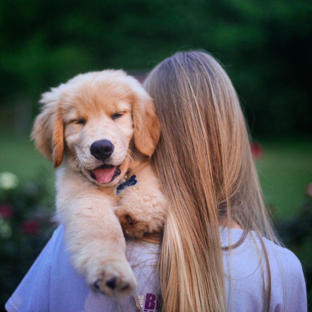 Fitmin For Life Puppy 3kg