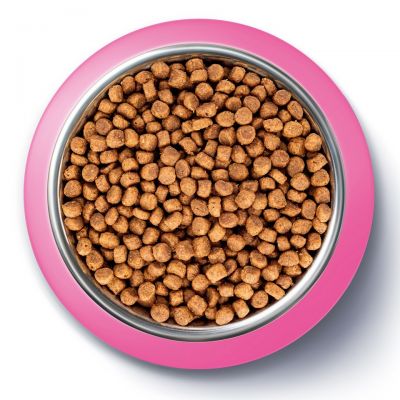 PURINA ONE GK BIFENSIS Junior 800g