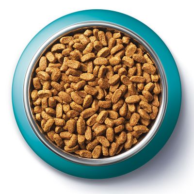 PURINA ONE GK sterilcat s hovězím a pšenicí 3kg