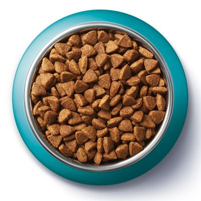 PURINA ONE GK sterilcat s lososem a pšenicí 800g