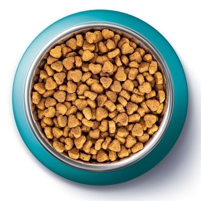 PURINA ONE BIFENSIS Urinary care Kuřecí s pšenicí 800g