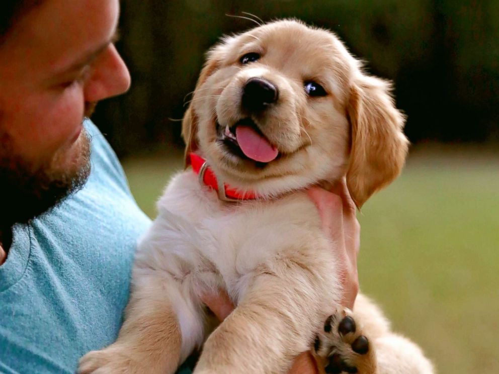 Fitmin For Life Puppy 12kg