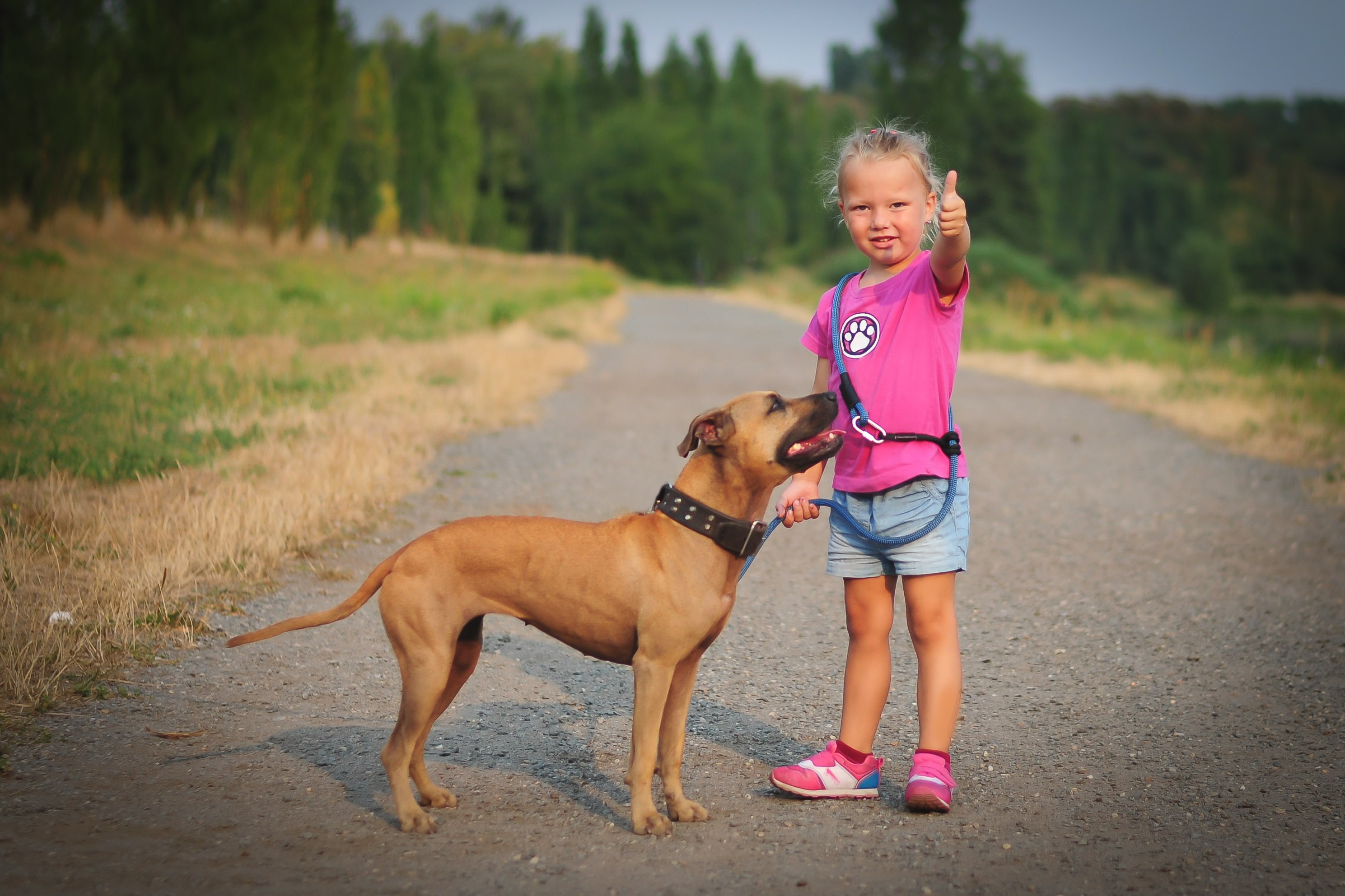 Vodítko TAMER s posuvným systémem - 2m (4-20kg) mix