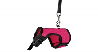 Postroj vesta s vodítkem pro potkana 12-18cm/1,2m