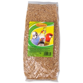 Oves nahý - loupaný oves AVICENTRA 1kg
